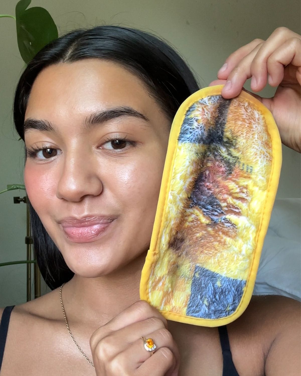 Hogwarts House Mini PROs